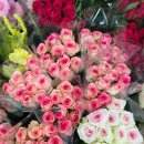 서울장식 | 서울 국비지원 화훼장식기능사 학원｜80점 합격 수강생 후기