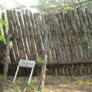 대불리목장 이미지