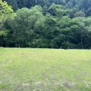 갯골자연휴양림 이미지