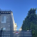 레몬트리호텔 이미지