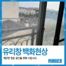 마전영남탑스빌경로당 | 아파트 유리창청소 업체 푸르고 : 영남 마전 탑스빌 후기