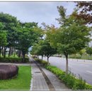 정천면행정복지센터 이미지