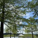 전남조경(주) | [순천] 전남 여름 여행지 추천ㅣ순천만국가정원 산책코스 및 사진스팟