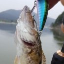 스피트메이트장호원점 이미지