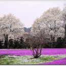 이병기 농장 이미지