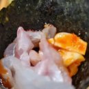 죽변항회물회