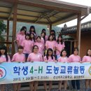 2013년 4-H 도농교류활동 이미지