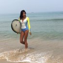 제시 카카오 검색결과