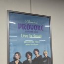 Cats Life | 2025 [Alexandros] 내한공연 후기