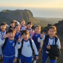 서비스플랜코리아(주) | 봄 단체여행 기획, 이것만 알면 끝! 수학여행·워크샵 필수 가이드