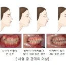 궁 이미지
