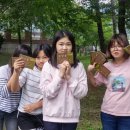 송학초등학교 이미지