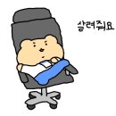 iQIYI에서 볼 수 있는 태드 LIST