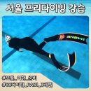 레벨84 | 서울 프리다이빙 강습 PADI 1레벨 자격증 과정 하루 만에 수료한 후기