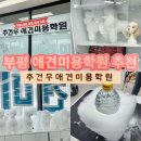 추건우애견미용학원