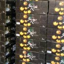 스마트종묘사 이미지