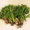 후계자홈유통 이미지