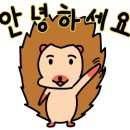 판다팜신갈