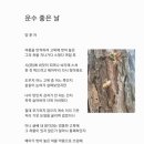 운수좋은날 Daum카페