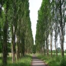 모스가든 이미지