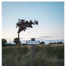 좋은느낌산부인과의원 이미지