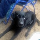 까만눈안경 이미지