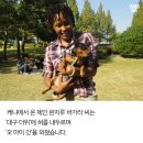 오마이갓