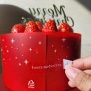 파리바게뜨 크리스마스 케이크 후기 (블레싱 레드베리)