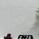 숙이숙이칼국수