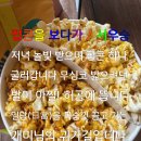 팝콘 이미지