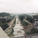 단계초등학교 이미지