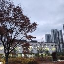 청라국제도서관 티스토리