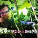 천상 농장 네이버블로그