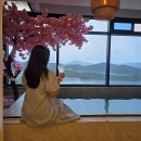 스테이유 | 여수 돌산펜션 여수 스테이유 펜션 리뷰 후기