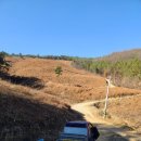 우보면사무소 이미지