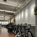 리얼 스트렝스 짐 이미지