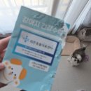 밥이조아 | 양주 24시해든동물의료센터❤️ 감자 클로스트리디움 장염균으로 입원했어요ㅠㅠ