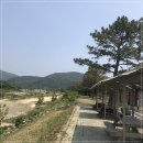 경주집식당 이미지