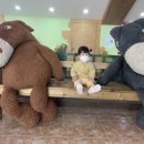 (주)라온길