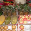 남호민박 이미지