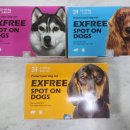 평리약국 이미지