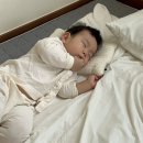 보르도애플스테이 이미지