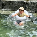 기찬랜드 | 영암 월출산 기찬랜드(2025년) / 다녀온 후기 및 방문참고정보!