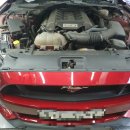 오토오아시스 바이오1점 이미지