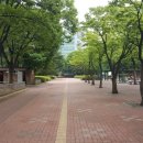 양재2동 주민센터 이미지