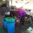 비암농장 이미지