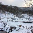 공주산림휴양마을 이미지