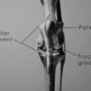 대학로동물병원 이미지