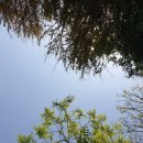 (주)한국전화번호부엠티에스 제주M리조트 | 인도 패키지여행 상품권