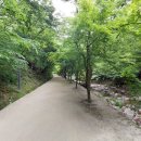 강천산(광주) 이미지